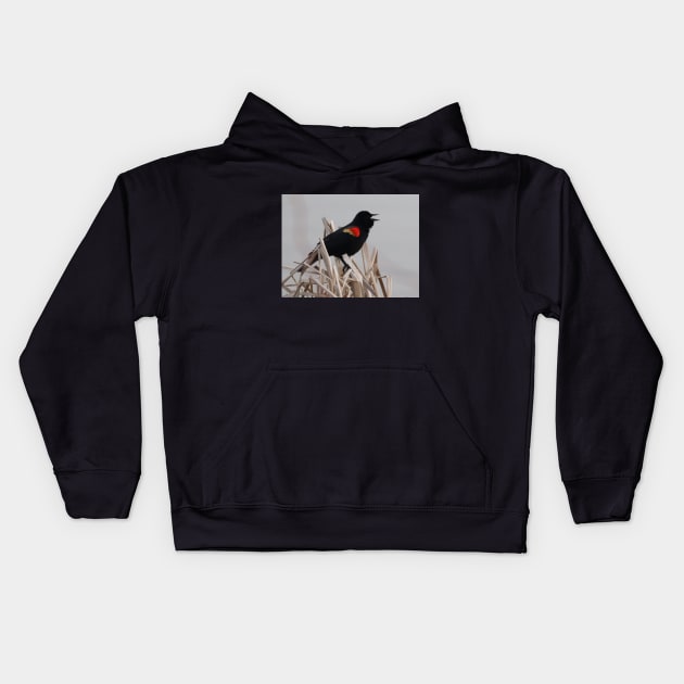 A Red-winged Blackbird Singing in the Rushes Kids Hoodie by Judy Geller